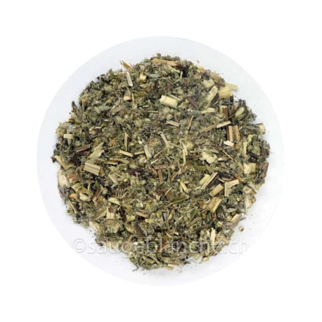Artemisa x100gr