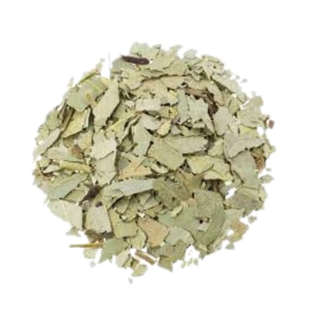 Eucalipto x100gr