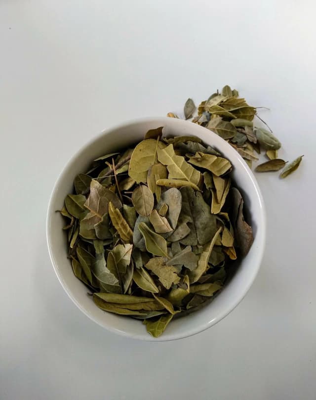 boldo 100gr