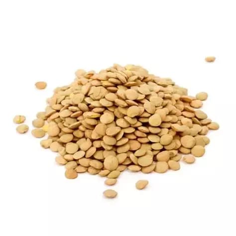 Lentejon x500 gr