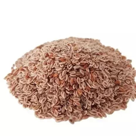 Semillas de Psyllium 100gr