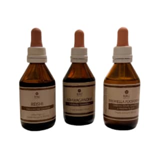 Combo adaptogeno | CORDYCEPS, ASHWAGANDHA, REISHI
